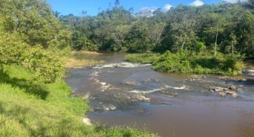 Belíssima Fazendinha à Venda em Valença-Bahia!