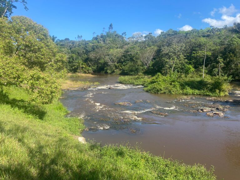 Belíssima Fazendinha à Venda em Valença-Bahia!
