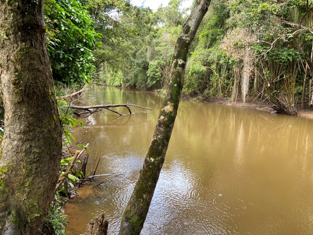 Excelente chácara/sítio em Valença-Bahia