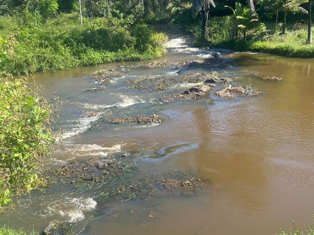 belissima-fazenda-a-venda-em-valenca-ba-5