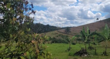 Fazenda à Venda em Valença-Ba