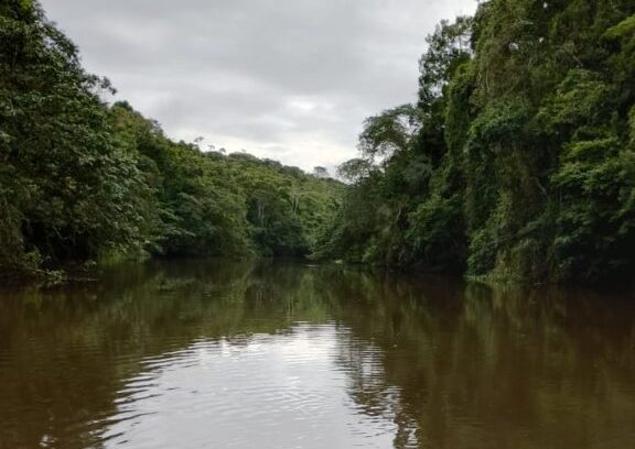 Fazenda de Mata Atlântica à Venda em Taperoá-Bahia