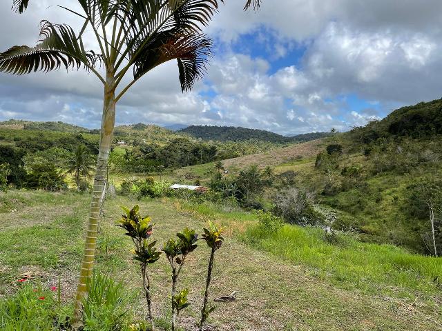 fazenda-a-venda-em-valenca-bahia-2