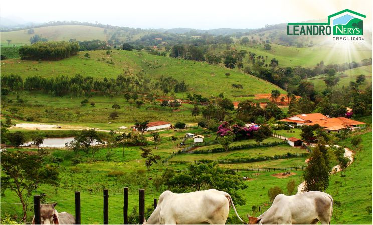 Leandro Nerys - Corretor de Imóveis em Valença-Ba